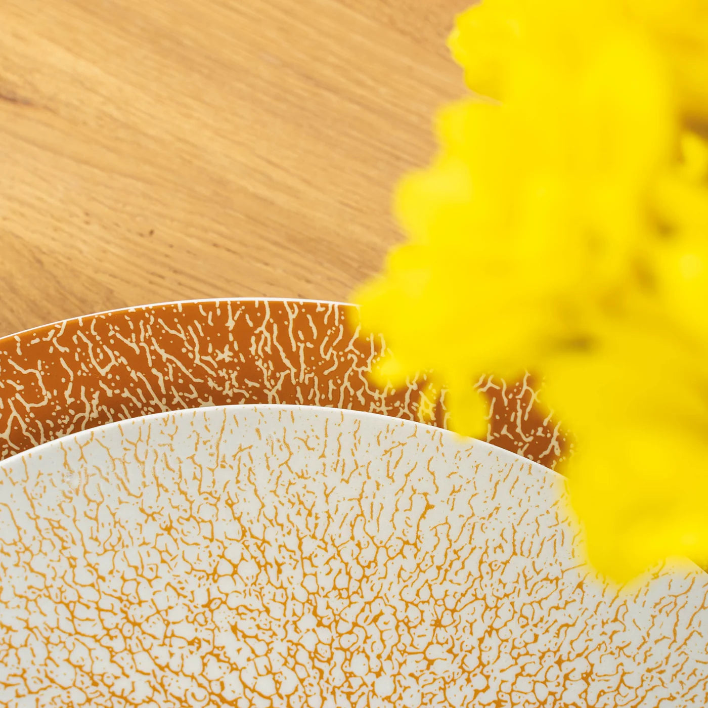 Magnetic Dinner Plates Apricot