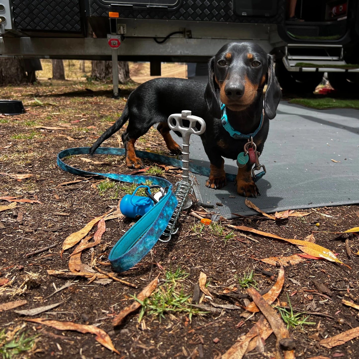 PetPeg • Single part (HP62) • Ground anchor with shock absorber for pets up to 20 kg