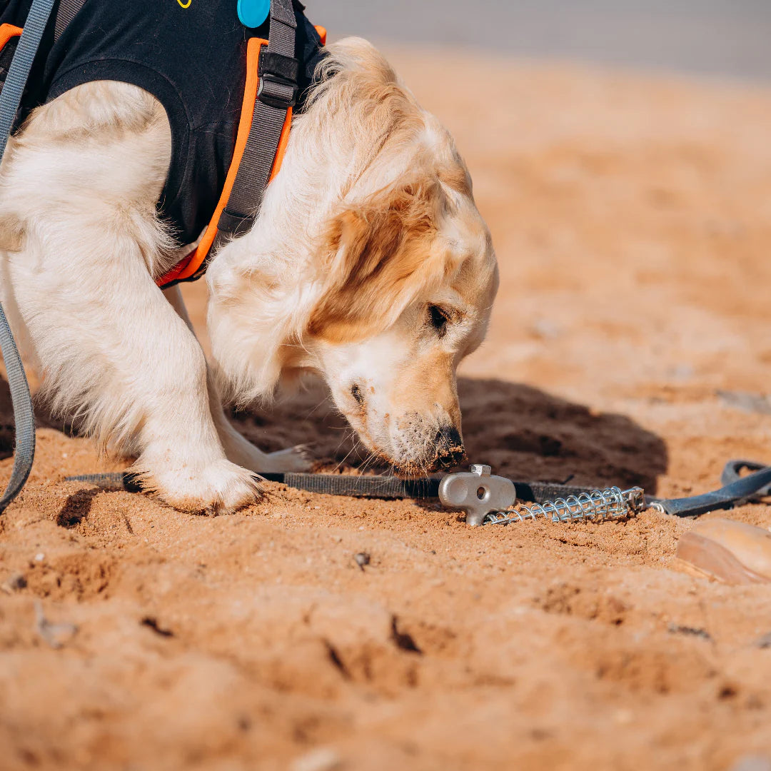 PetPeg 2.0 • Single part (HP63) • Stainless steel ground anchor with shock absorber for pets up to 45 kg