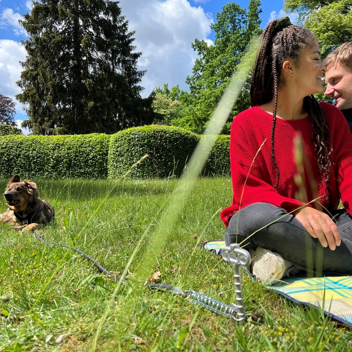 PetPeg • Single part (HP62) • Ground anchor with shock absorber for pets up to 20 kg