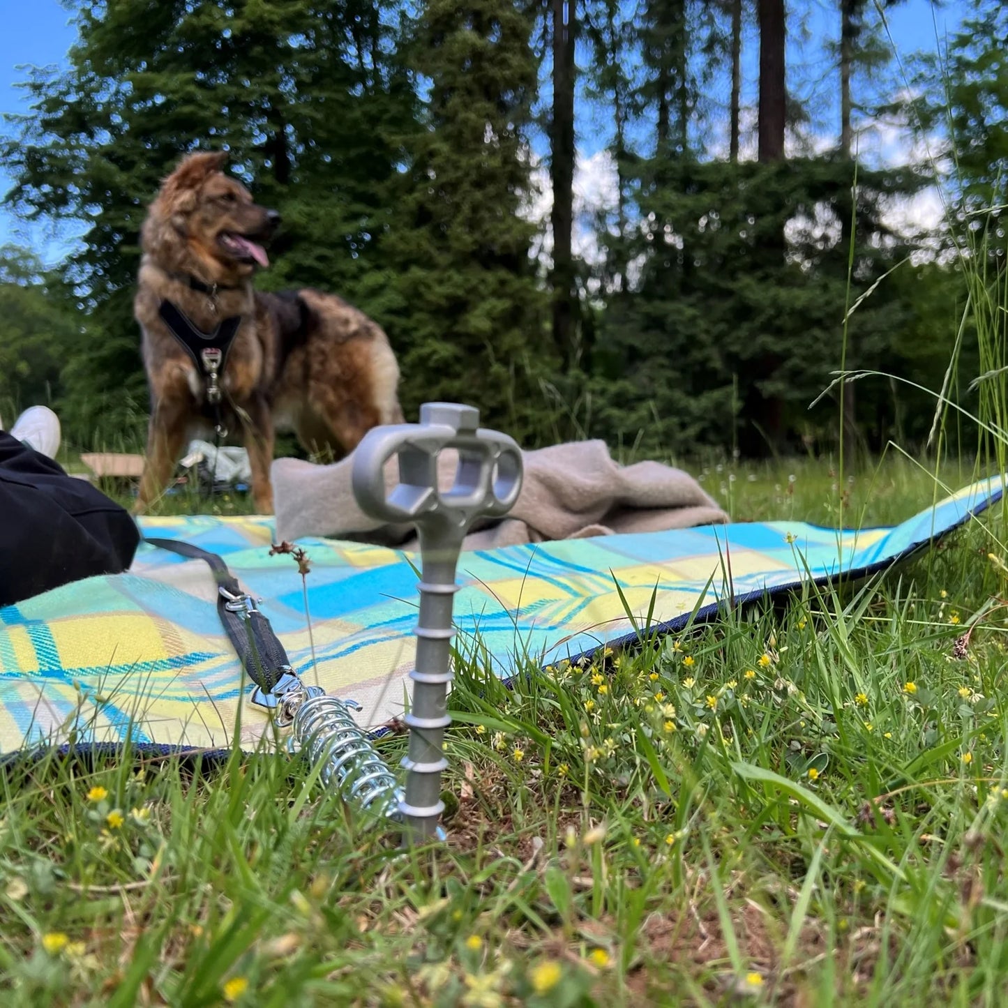 PetPeg • Single part (HP62) • Ground anchor with shock absorber for pets up to 20 kg